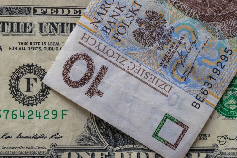 Как обменять польские злотые на российские рубли на выгодных курсах. Мы подскажем