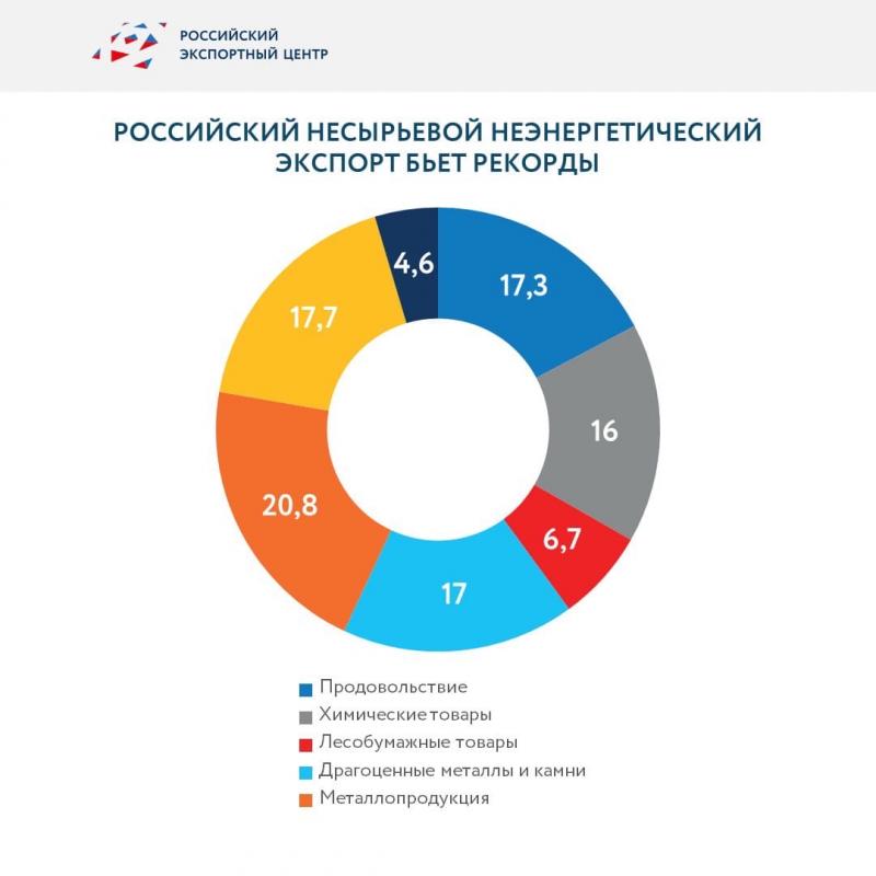 Как развивать несырьевой экспорт в России: больше возможностей для экономики