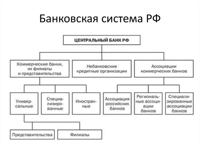 Как устроена структура ЦБ РФ: подробный план понимания схемы