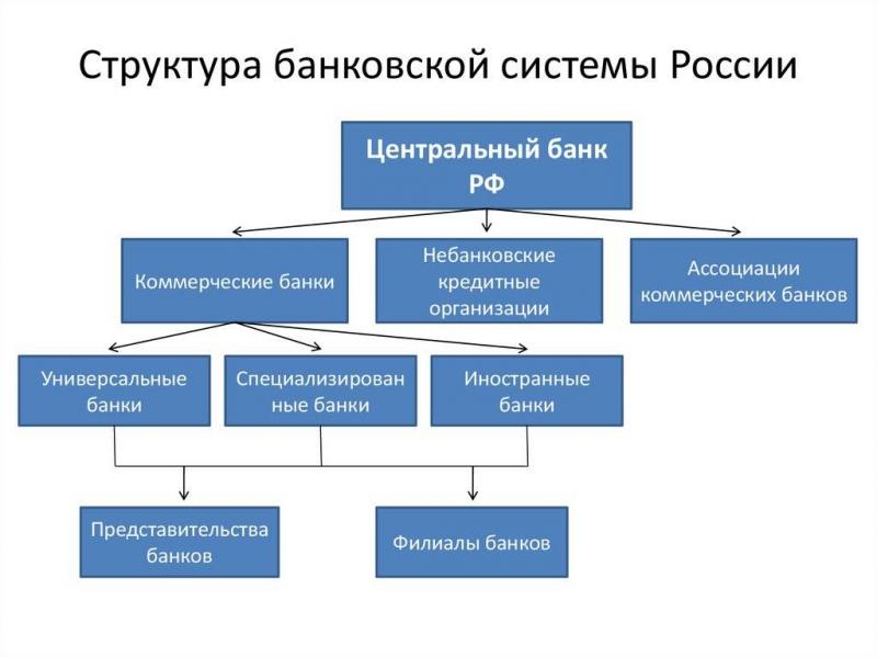 Как устроена структура Центрального банка РФ: подробно раскрываем схему