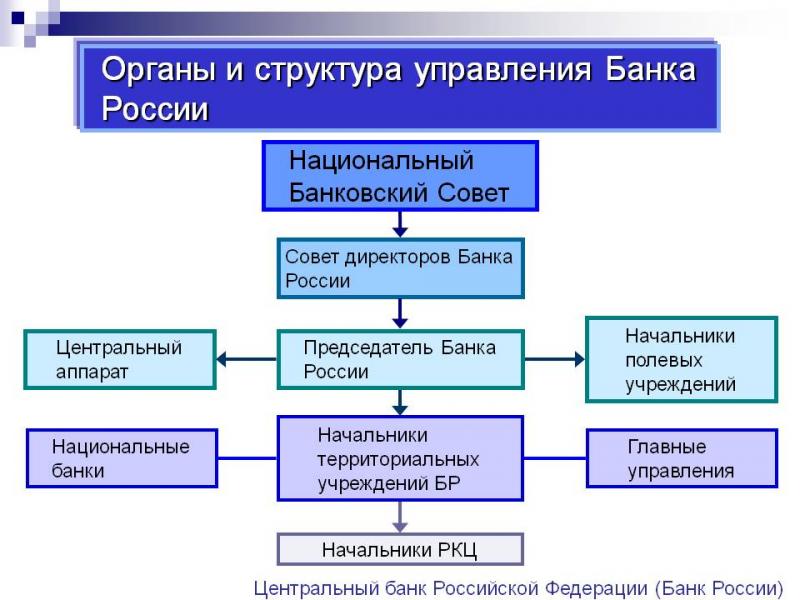 Как устроена структура Центрального банка РФ: схема работы и влияния