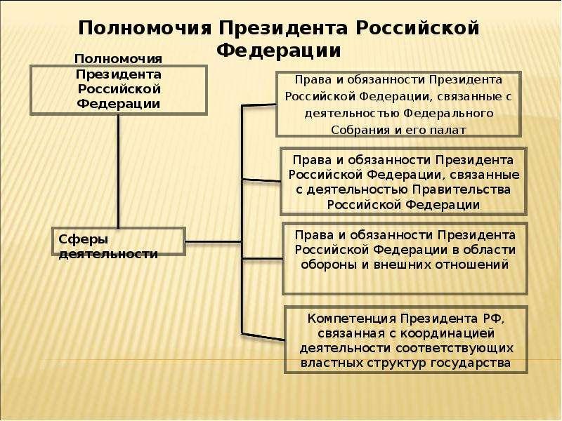 Как устроены полномочия Полпредов Президента РФ: всё, что нужно знать