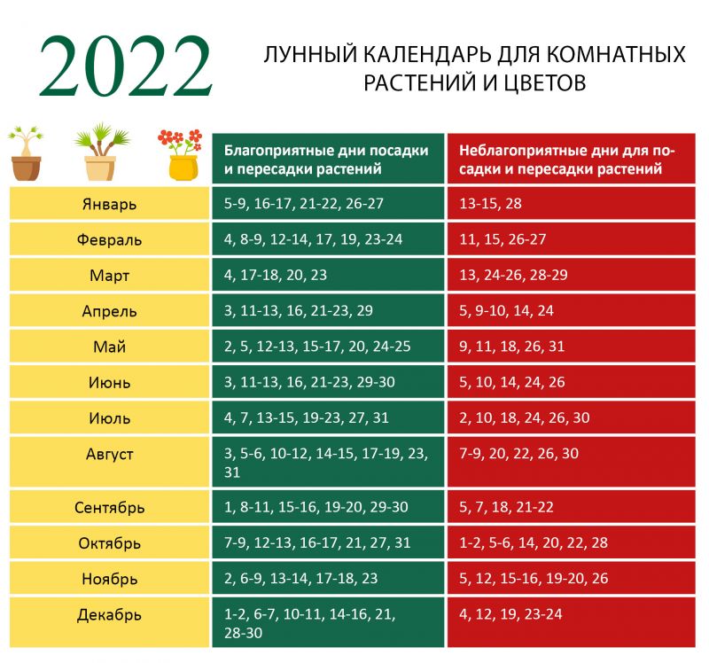 Как выбрать лучший онлайн займ в Мурманске в 2023 году: правила и критерии для успешного решения
