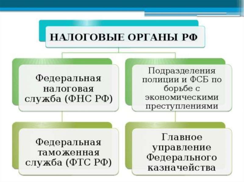 Ключевые функции системы налоговых органов в РФ