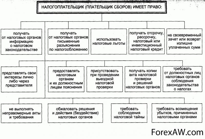 Права и обязанности налогоплательщика в России