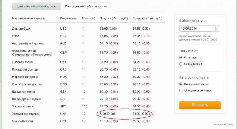 Сколько долларов в рублях сегодня: подробный разбор актуального курса для понимания реальной стоимости
