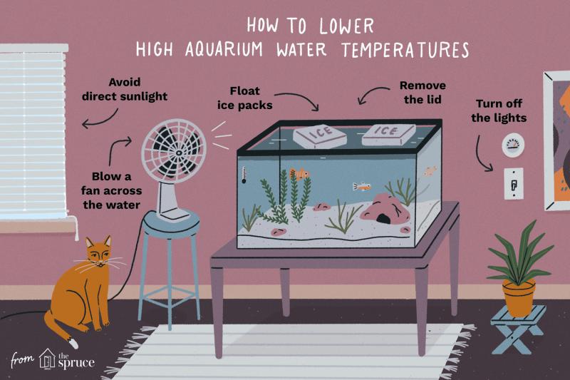Сколько градусов зимой в квартире для здоровья: 13 необычных способов поддерживать тепло