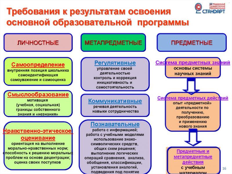 Сравнение дошкольного образования России и США: что может удивить родителей